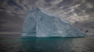 Buzlaqlar gündə 60 metr irəliləyə bilir