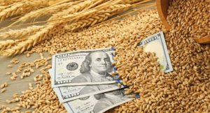 Azərbaycana idxal edilən buğda bahalaşıb – CƏDVƏL