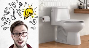 İnsanlar ən yaxşı qərarlarını tualetdə olarkən verirmiş – VİDEO