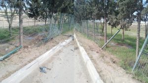 Gəncə şosesində QƏZA — Sürücü yaşıllıq ərazisini məhv etdi, 13 metrlik hasar sıradan çıxarıldı