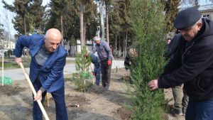 Mingəçevirdə “Şəhərsalma və Memarlıq İli” çərçivəsində ağacəkmə aksiyası keçirildi