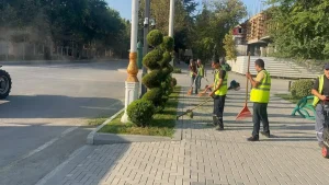 Yevlaxda növbəti iməclik. HEYDƏR ƏLİYEV PROSPEKTİ